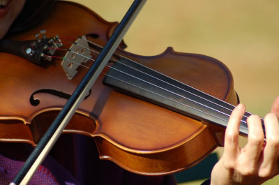 Leisure Violin Lessons